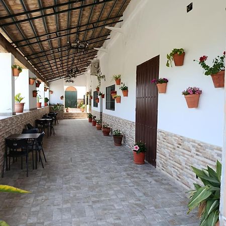 Casa Cortijo Olivar Sevilla Exteriér fotografie