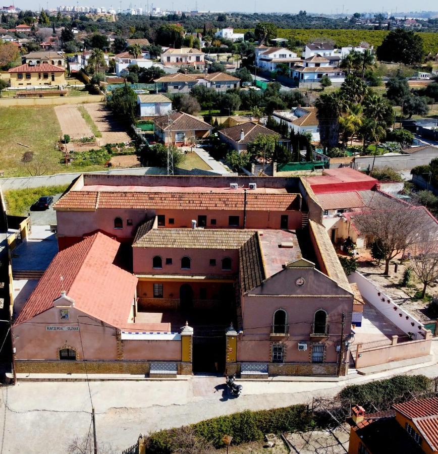 Casa Cortijo Olivar Sevilla Exteriér fotografie