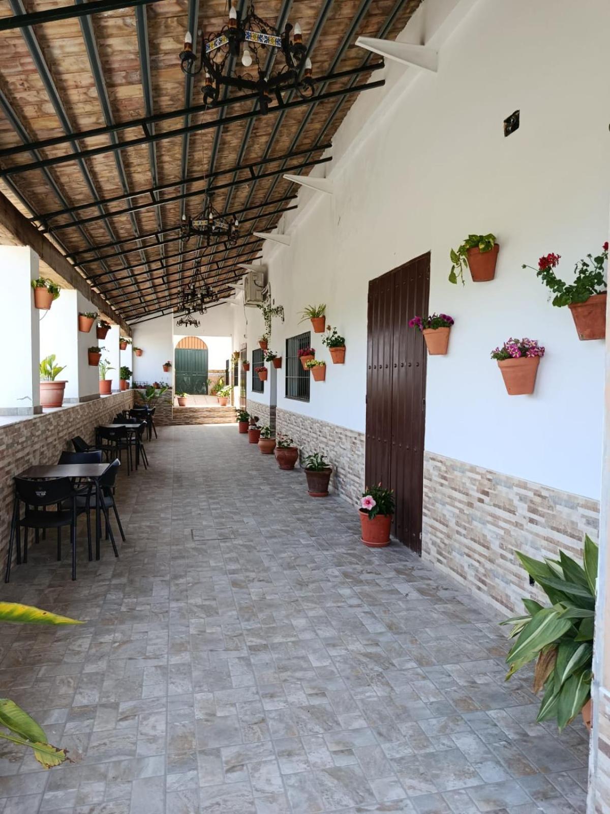 Casa Cortijo Olivar Sevilla Exteriér fotografie